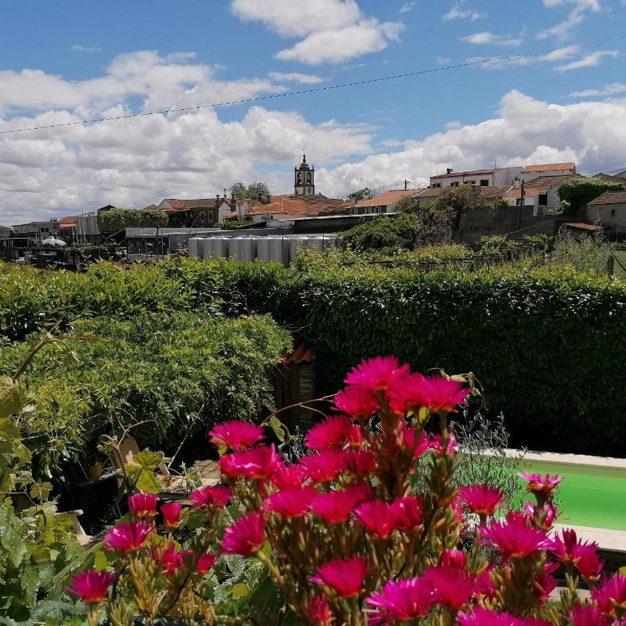 O Ze Ja Dormiu Aqui Villa Celeiros Luaran gambar