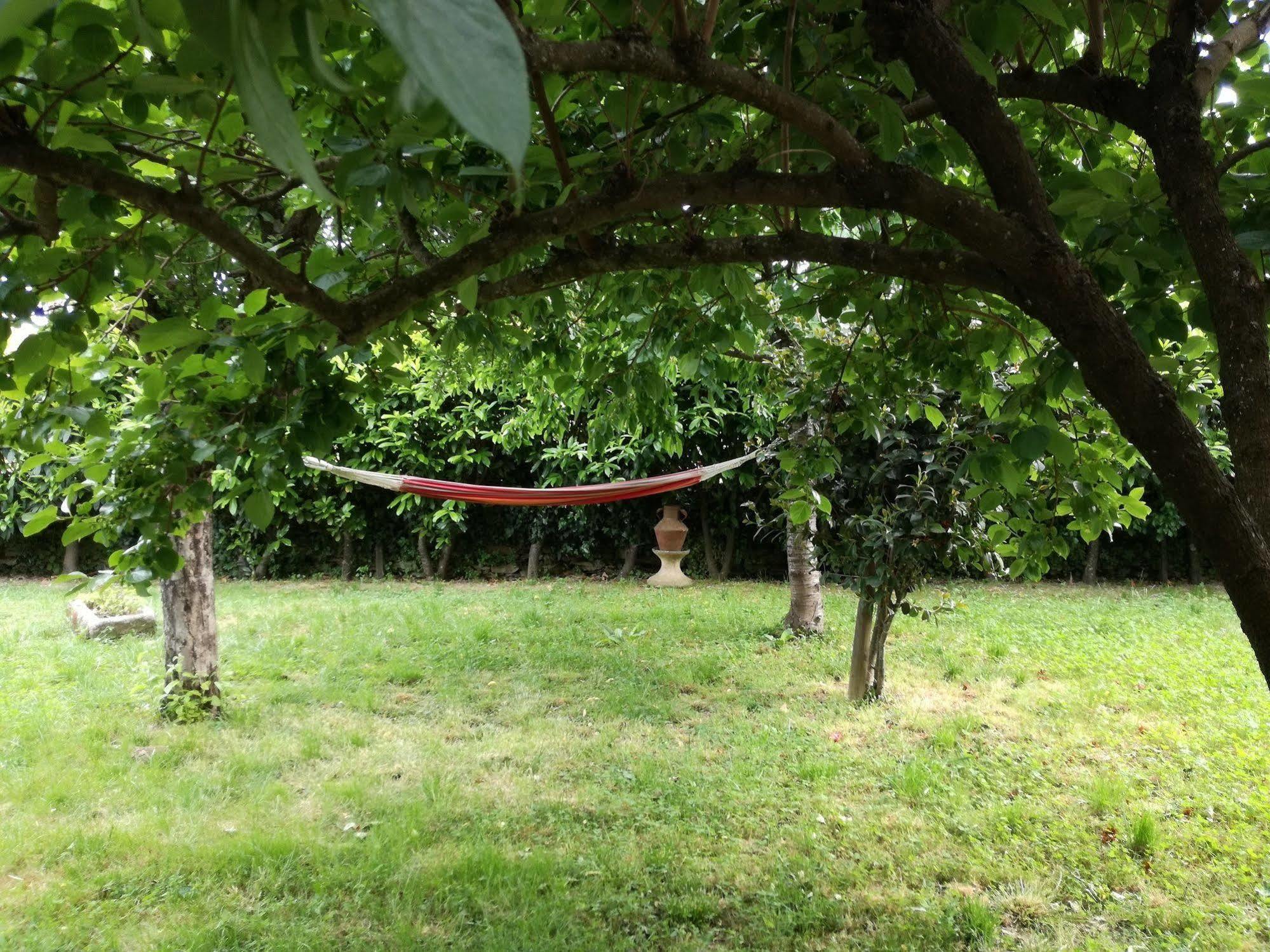 O Ze Ja Dormiu Aqui Villa Celeiros Luaran gambar