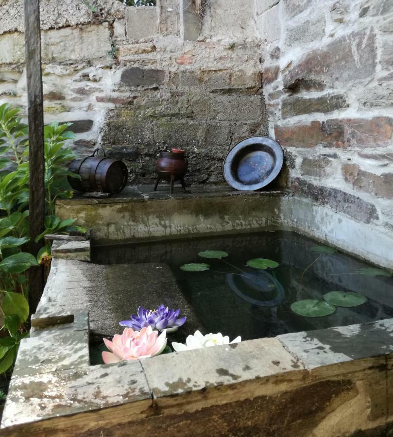 O Ze Ja Dormiu Aqui Villa Celeiros Luaran gambar