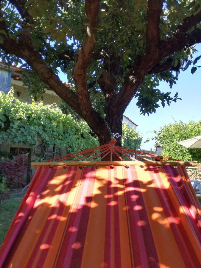 O Ze Ja Dormiu Aqui Villa Celeiros Luaran gambar
