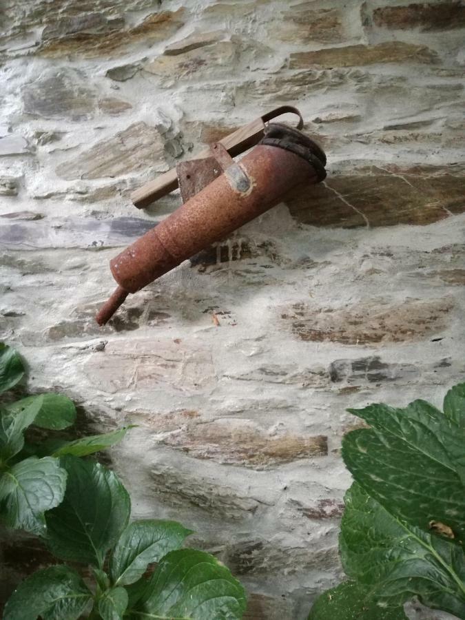O Ze Ja Dormiu Aqui Villa Celeiros Luaran gambar